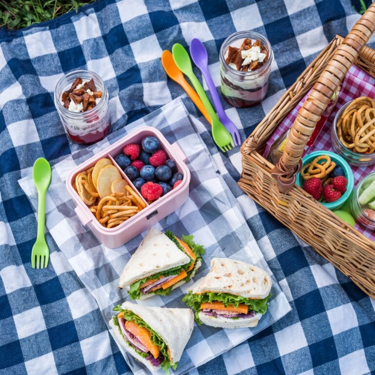 blue and white checkered picnic blanket with woven picnic basket, veggie sandwiches, and bento box of snacks